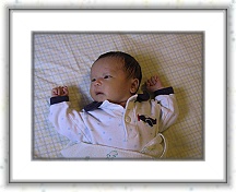 IMG_9231 * 1024 x 768 * (488KB)