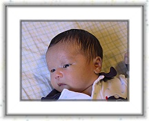 IMG_9241 * 1024 x 768 * (430KB)