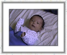 IMG_9249 * 1024 x 768 * (485KB)