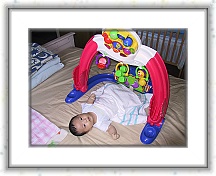 IMG_9341 * 1024 x 768 * (526KB)