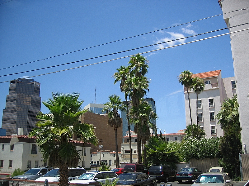 IMG_4421.JPG