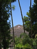 IMG_4408