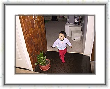 IMG_0128 * 2048 x 1536 * (1.42MB)