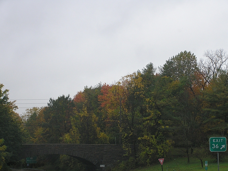 P1010099.JPG