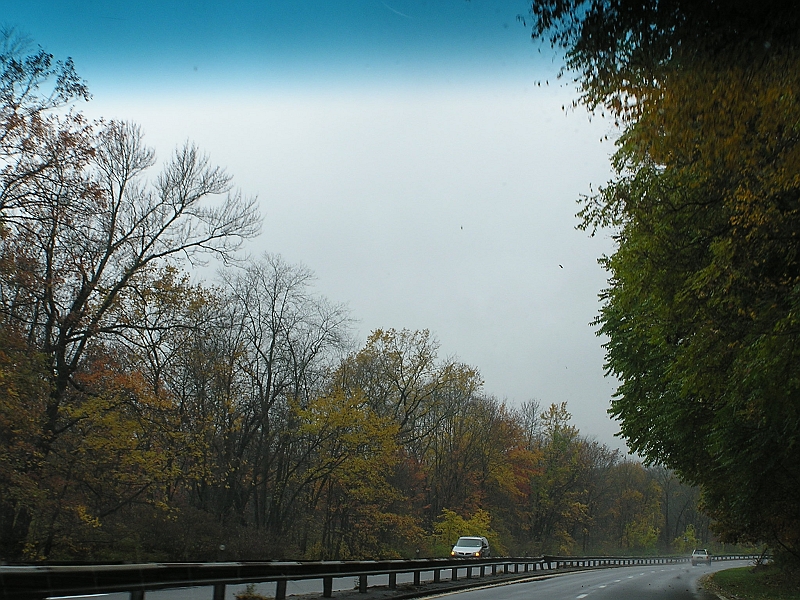 P1010104.JPG