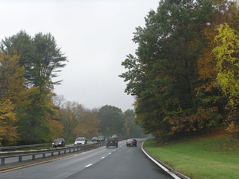 P1010106.JPG