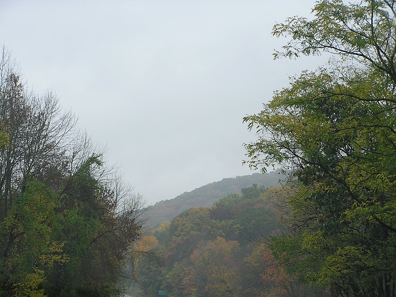 P1010107.JPG