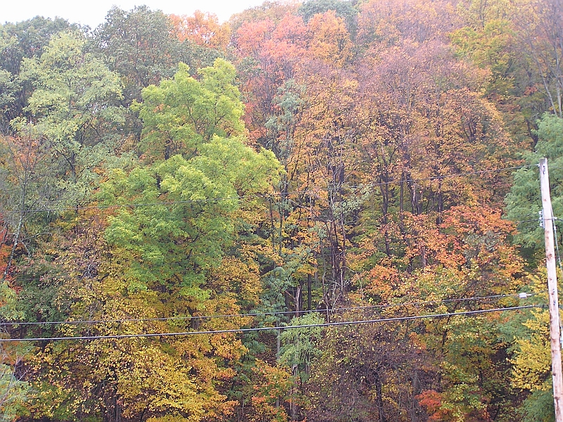 P1010109.JPG