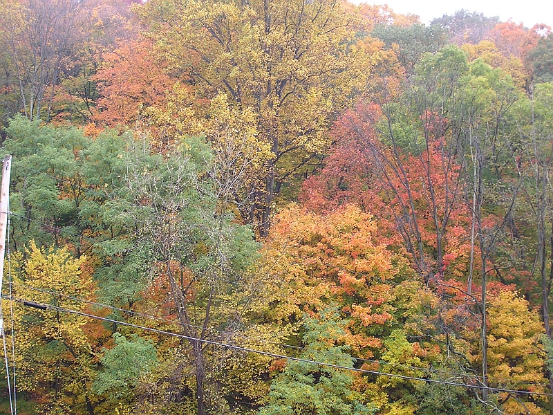 P1010110.JPG