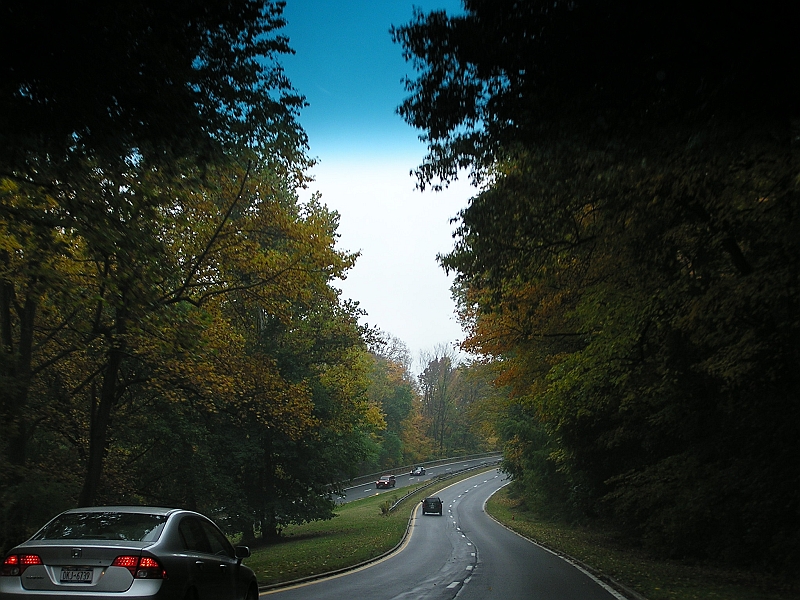 P1010117.JPG