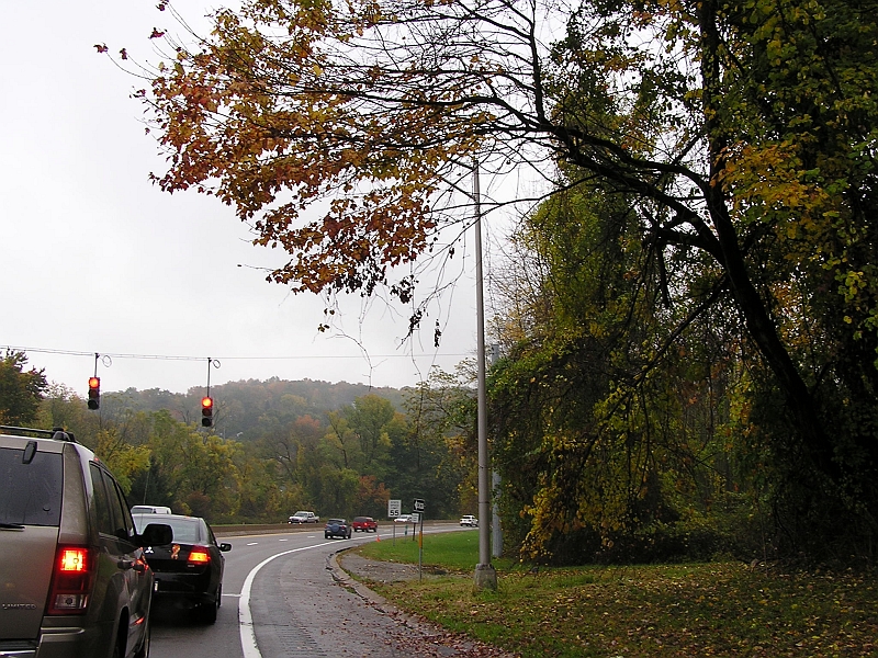 P1010123.JPG