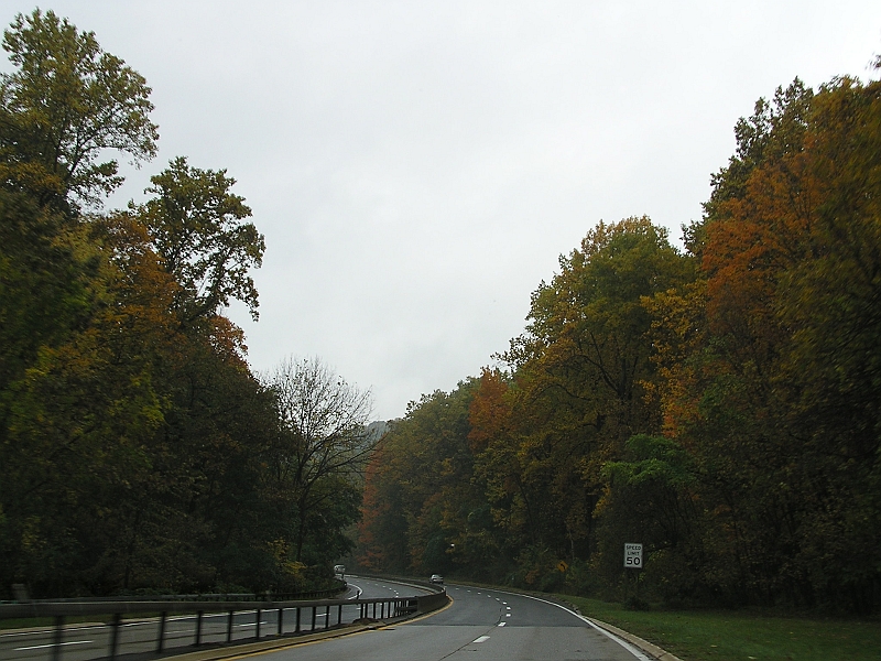 P1010130.JPG