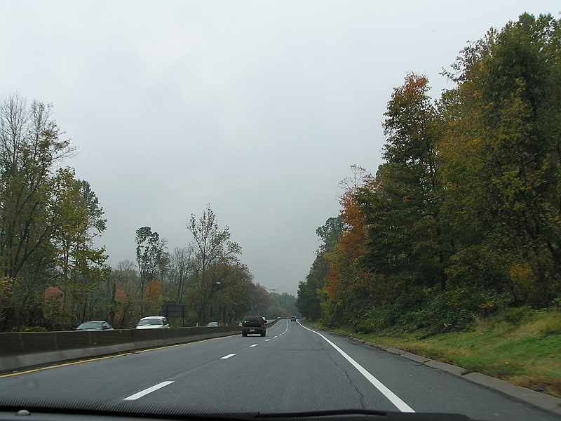 P1010133.JPG
