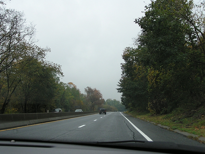 P1010134.JPG