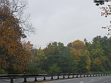 P1010098
