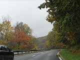 P1010105