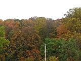 P1010111