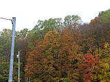 P1010112