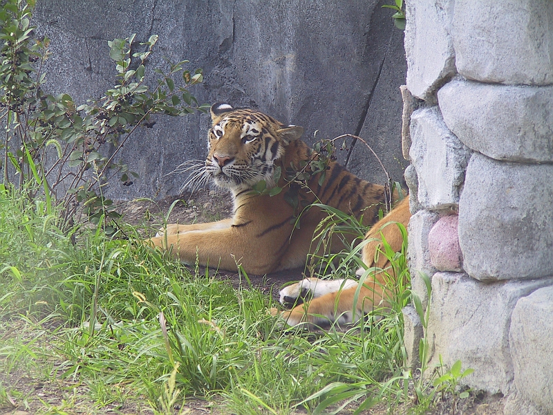 IMG_0813.JPG