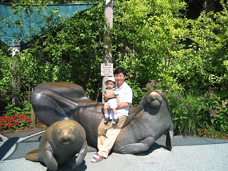 IMG_6584.JPG