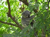 IMG_0795