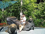 IMG_6584