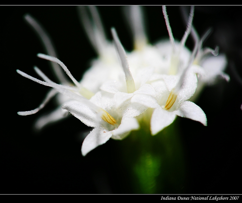 IMG_8822_neo2.JPG