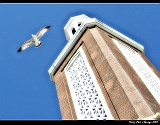IMG_2105_neo_tp_neo2