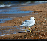 IMG_8689_neo2