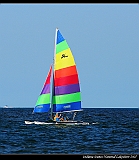 IMG_8731_neo2
