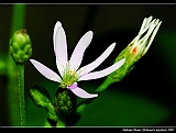 IMG_8812_neo2