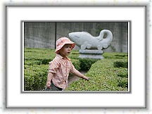 IMG_0414_tp2 * 3621 x 2415 * (2.08MB)