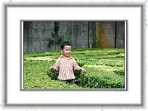 IMG_0469_neo2 * 3970 x 2644 * (3.26MB)