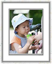 IMG_2262_tp2 * 2707 x 3623 * (2.12MB)