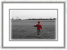 IMG_5393_tp2 * 2361 x 1576 * (854KB)