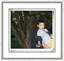 IMG_7233_neo2_ps * 2682 x 2539 * (958KB)