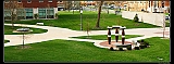 IMG_8042_neo2