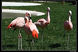 IMG_8171_neo2