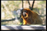 IMG_8282_neo2