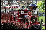 IMG_8299_neo2