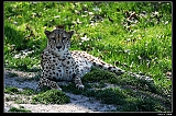 IMG_8350_neo2