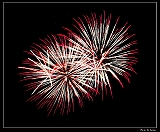 IMG_4031_neo2