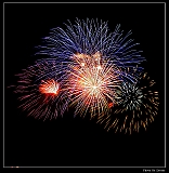 IMG_4063_neo2