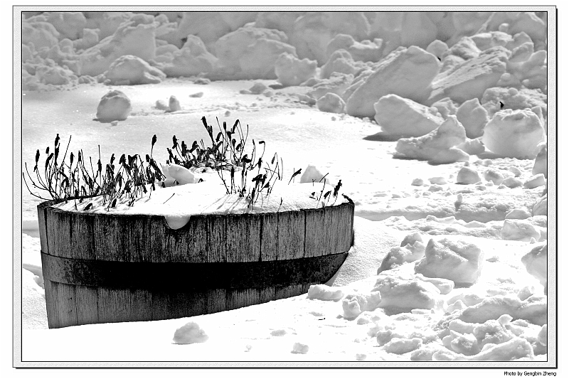 IMG_4102_tp_neo.jpg - Pictures taken in front of my house after the snowstorm (with Canon 70-200mm f4L lens)