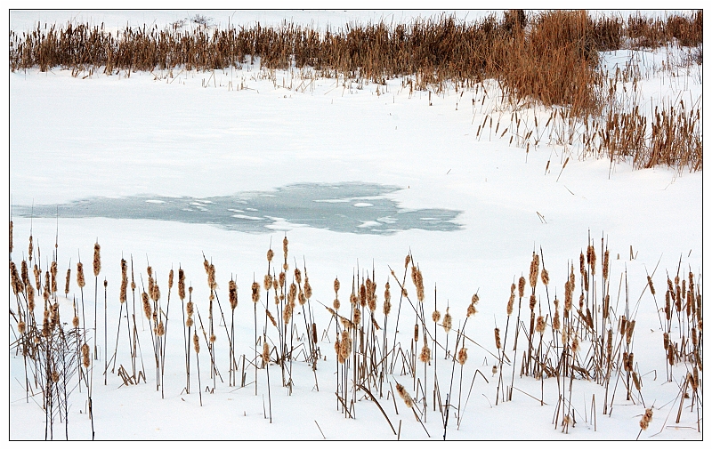IMG_4180_tp_neo.jpg - Picture taken at a frozen lake near the Japan House (with Tamron 28-75mm f/2.8)