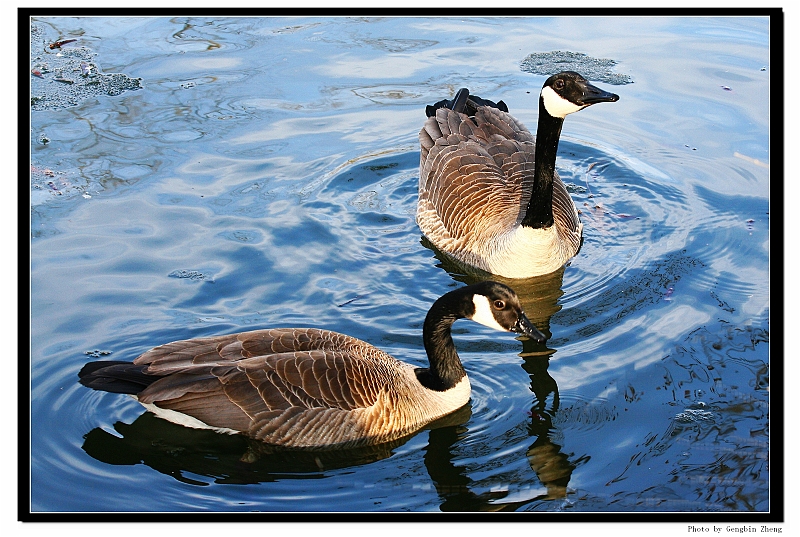 IMG_5647_neo_tp2.JPG - swimming in iced lake (with Canon 70-200mm f/4L lens)