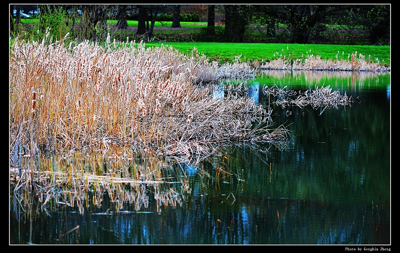 IMG_7761_neo2.JPG - A random shot of a lake near my home (Canon 100mm f2.8 macro lens)