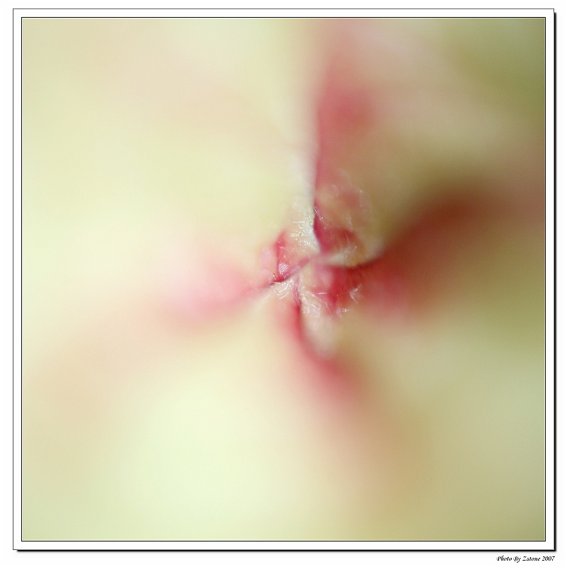 IMG_8486_neo2.JPG