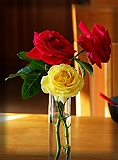 IMG_0429_neo