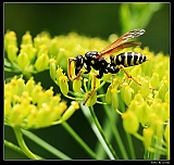 IMG_2302_neo_filtered2